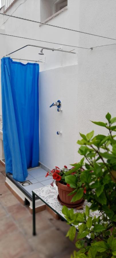 Castaldi Apartments Forio di Ischia 外观 照片