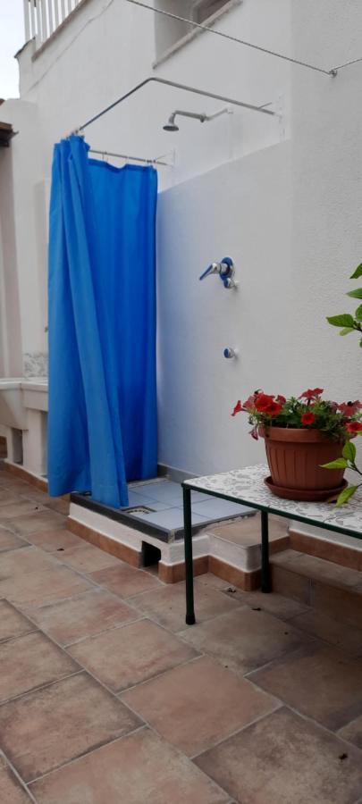 Castaldi Apartments Forio di Ischia 外观 照片